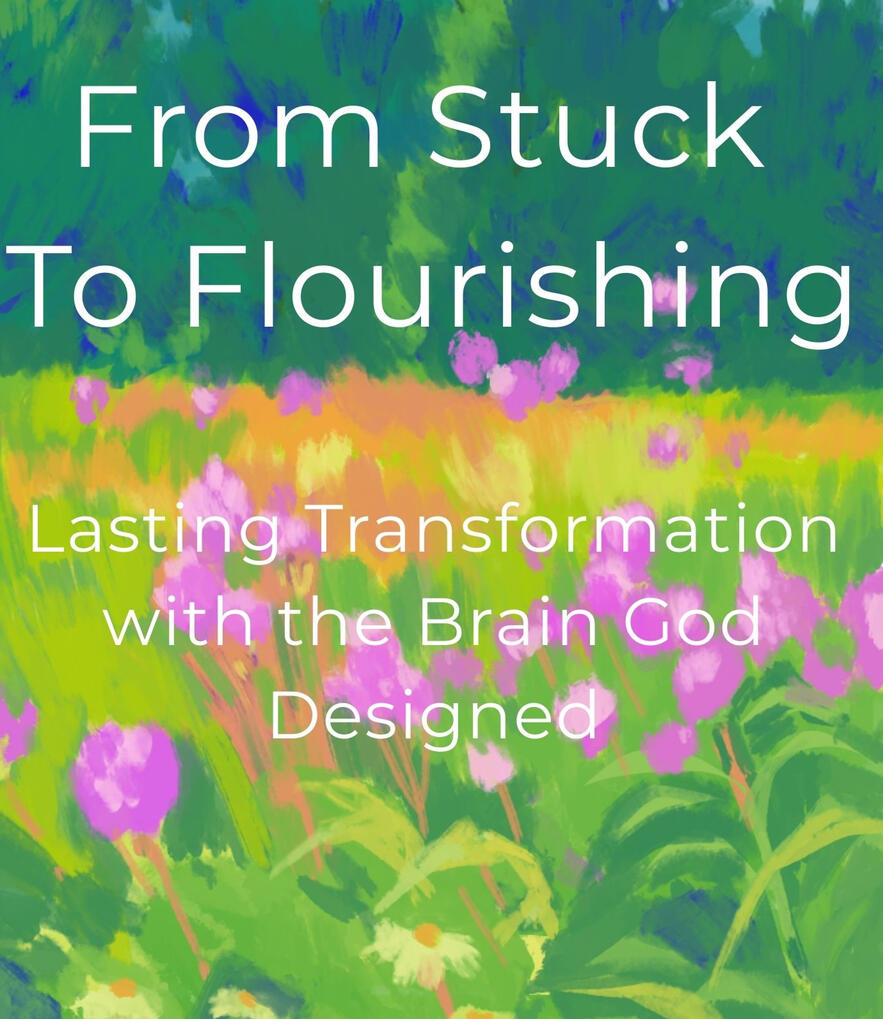 Beyond &#39;Pray Harder&#39;: How God Actually Designed Your Brain to Heal. Video Course